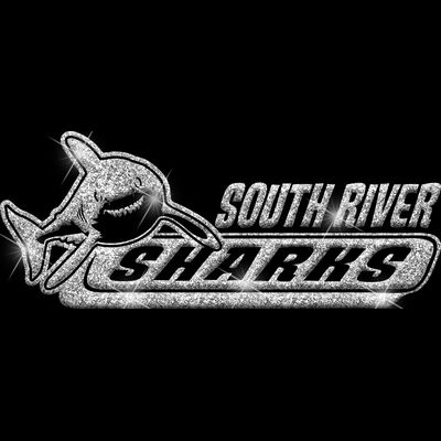 GLT102 SILVER GLITTER Thumbnail