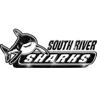 GLT102 BLACK GLITTER Thumbnail